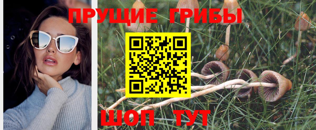 Псилоцибиновые грибы MAGIC MUSHROOMS  Вход с VPN  Куйбышев  Галлюциногенные грибы ЛСД 